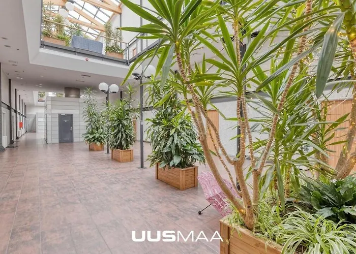 Loft Near Old Town * 塔林